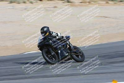 media/Feb-04-2024-SoCal Trackdays (Sun) [[91d6515b1d]]/4-Bowl Backside (11am)/
